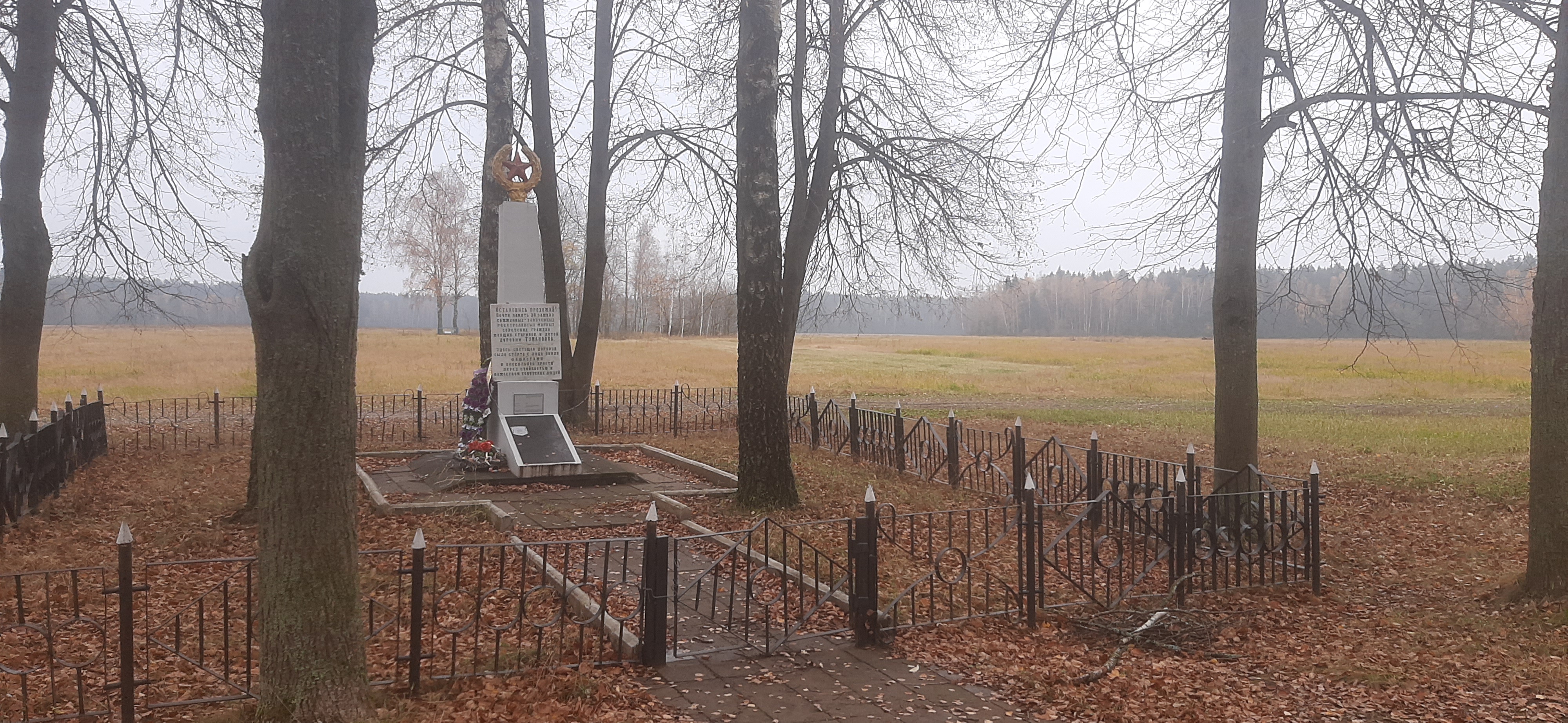 Деревня Тумановка 2-я